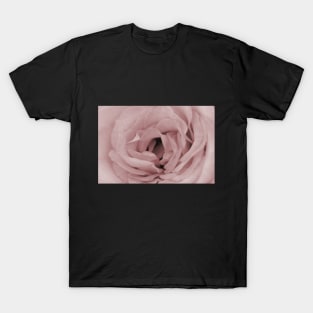 Close up of Pink Rose Flower T-Shirt